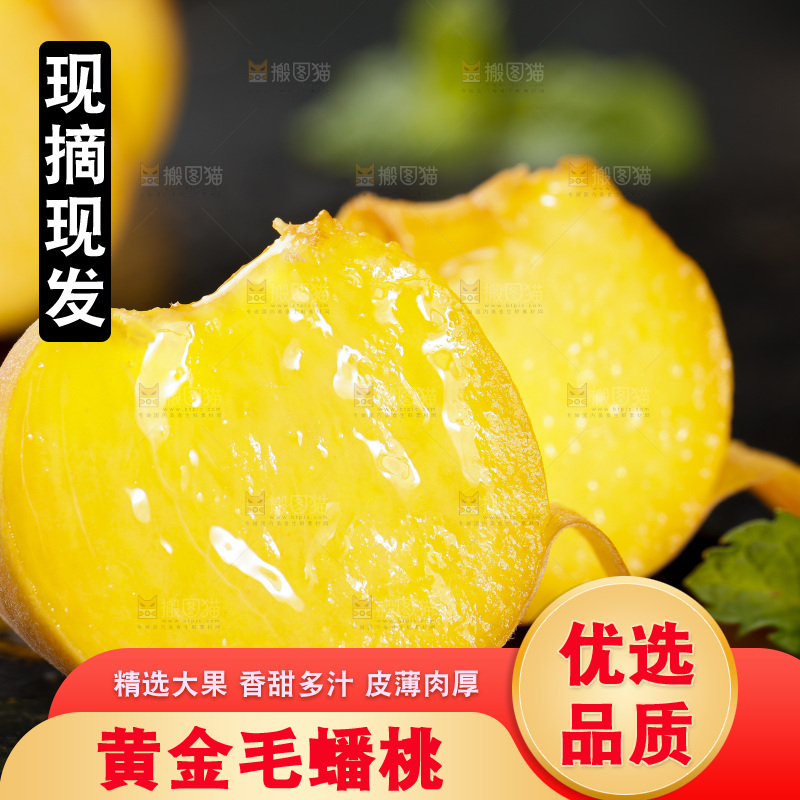 黑底上的毛蟠桃