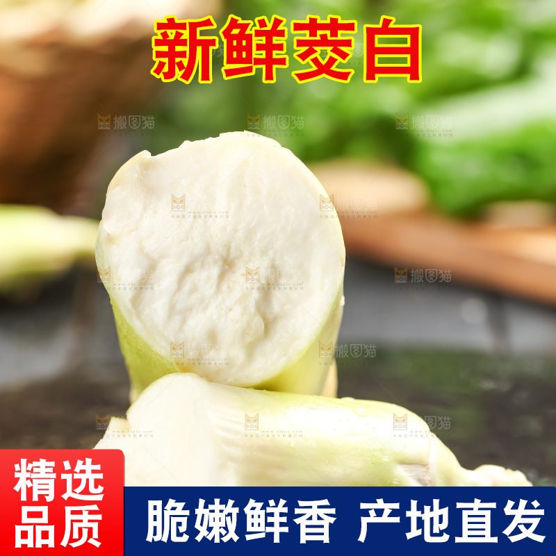 石板上的云南茭白