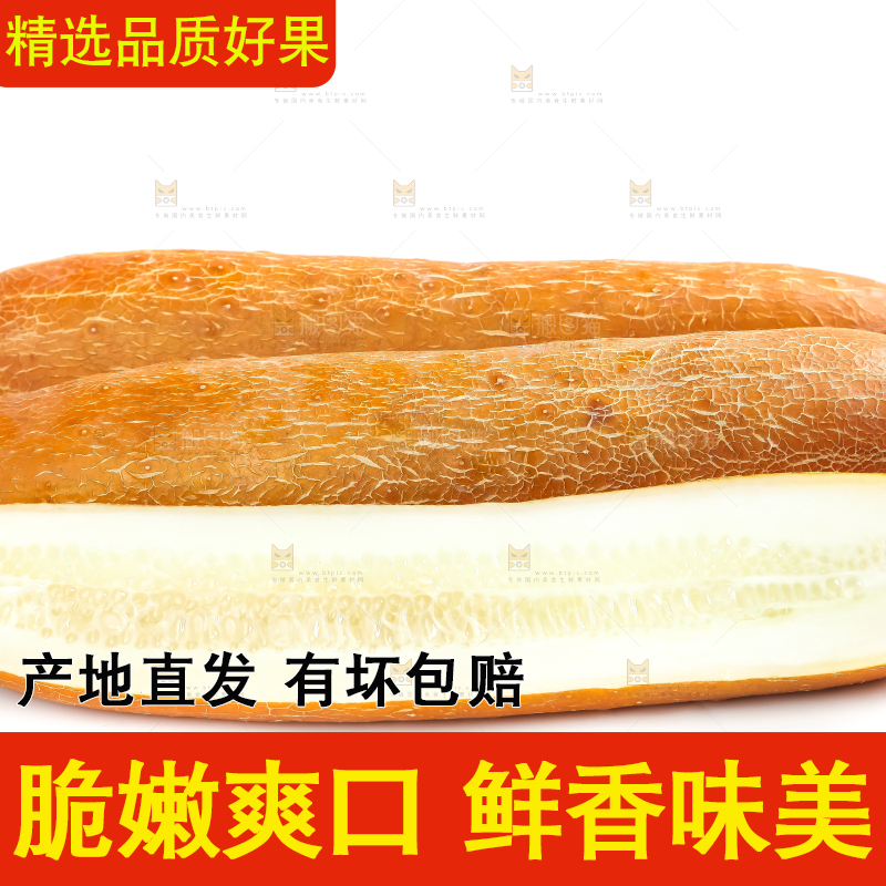 白底上的新鲜老黄瓜