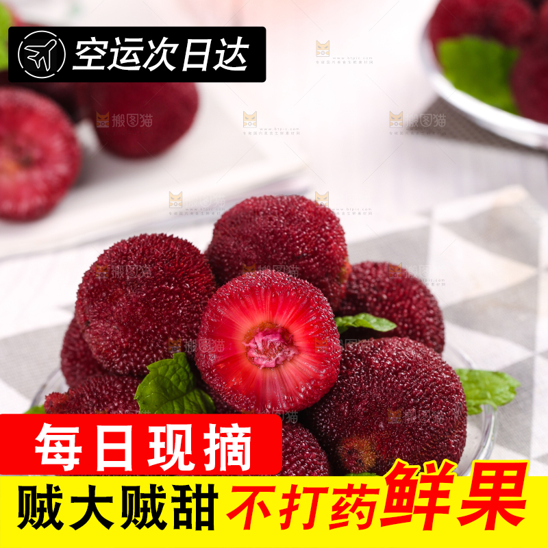 杨梅