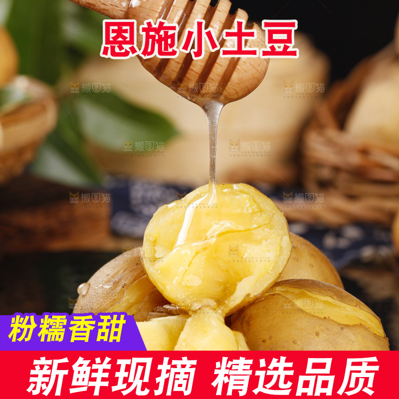 黑石板上摆放着黄心小土豆