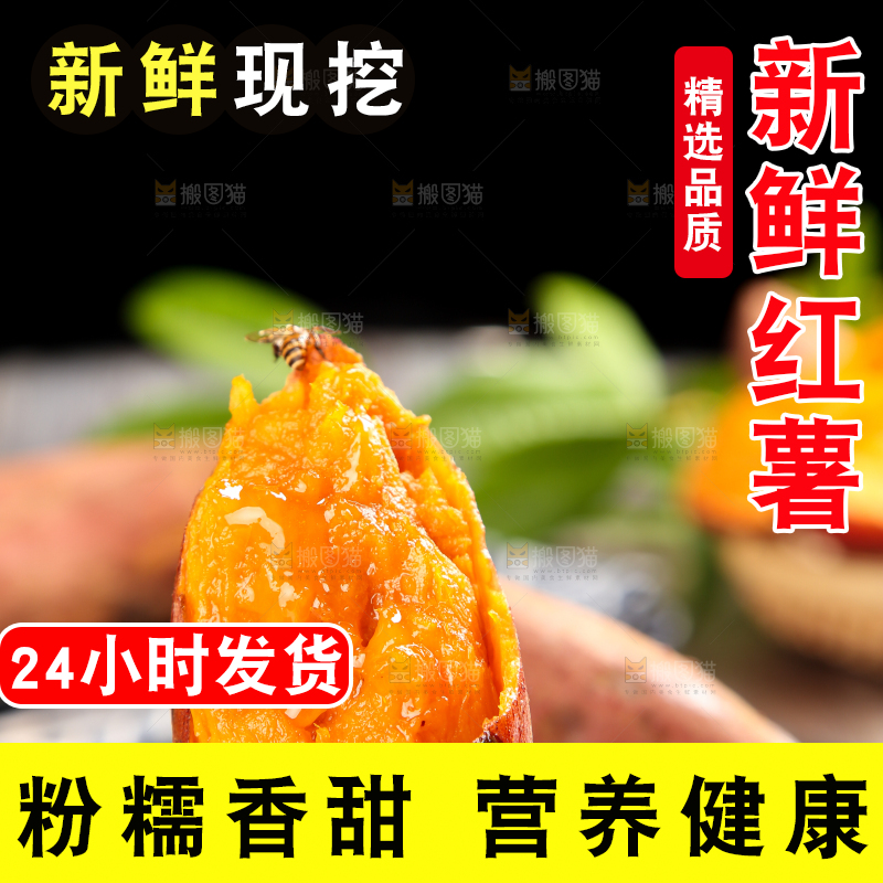 手上拿着福建六鳌蜜薯