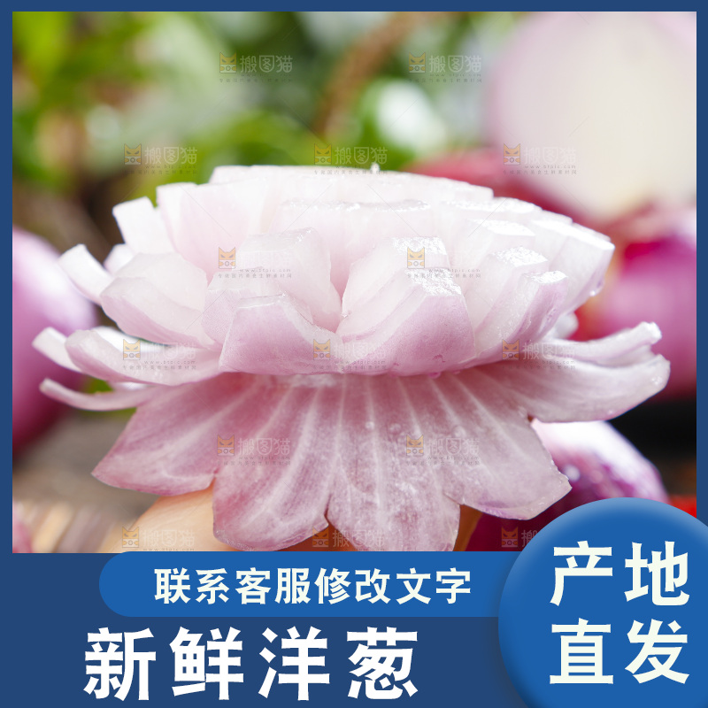 手里拿着新鲜洋葱