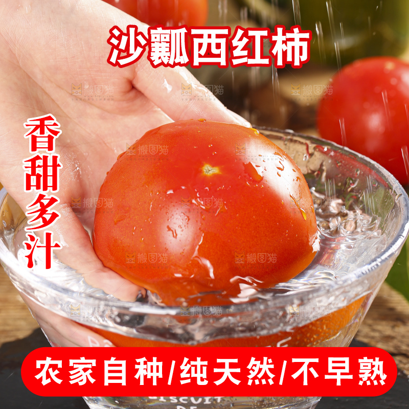 手里拿着米易沙瓤西红柿