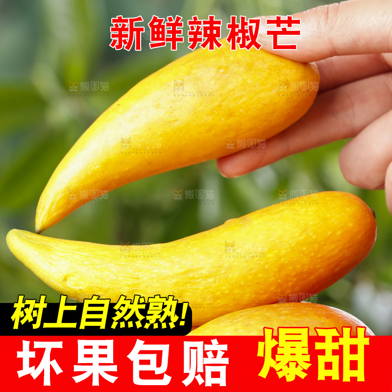 手里拿着新鲜芒果