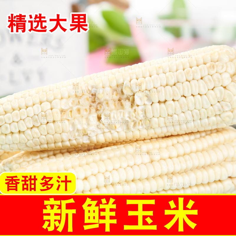 浅底上的牛奶水果玉米