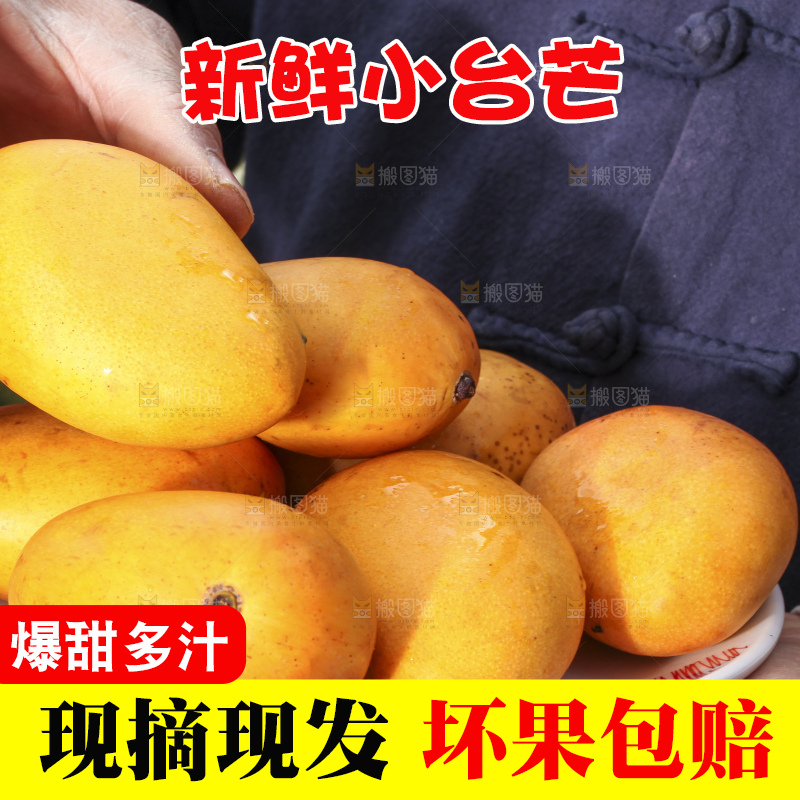 手拿一盘小台芒