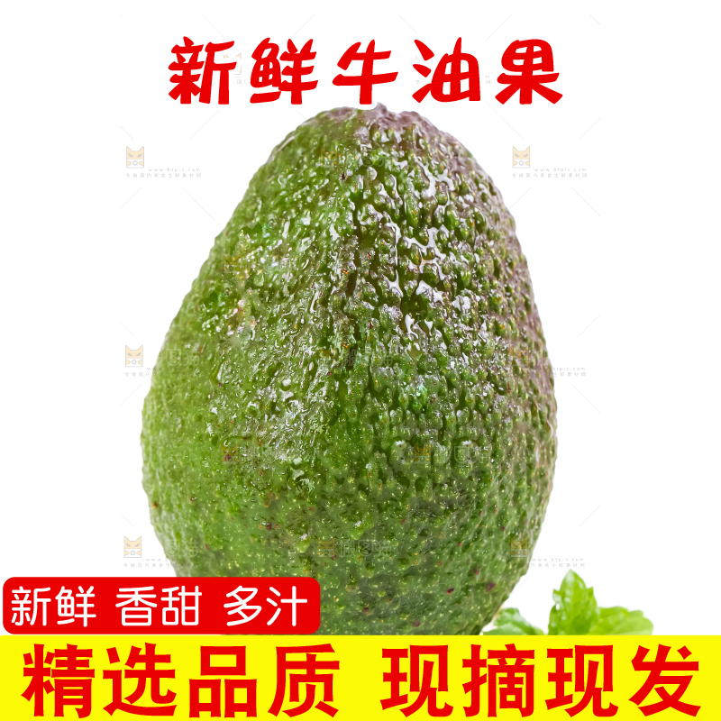 白底上的墨西哥牛油果