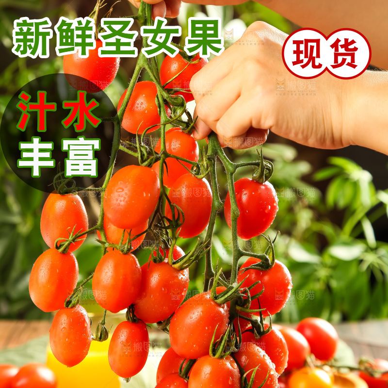 木板上的圣女果