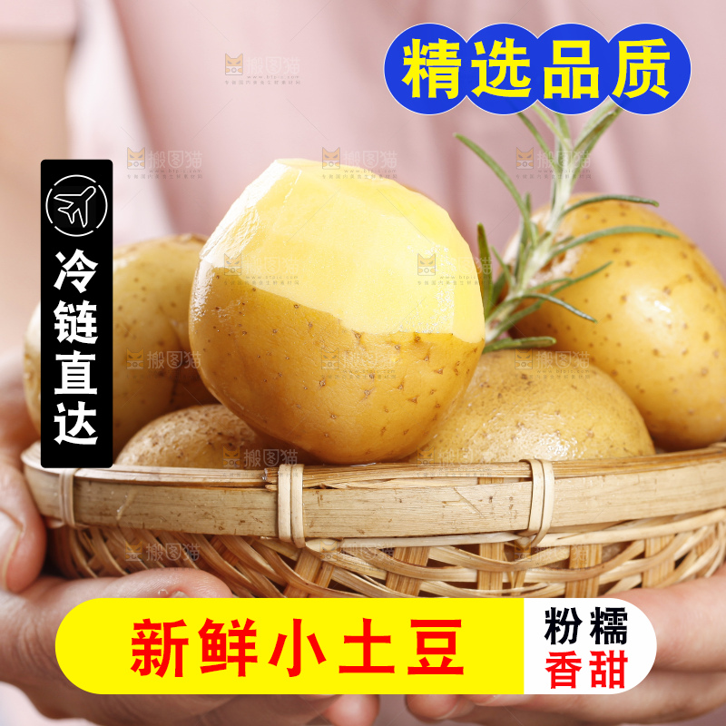 手里拿着迷你小土豆