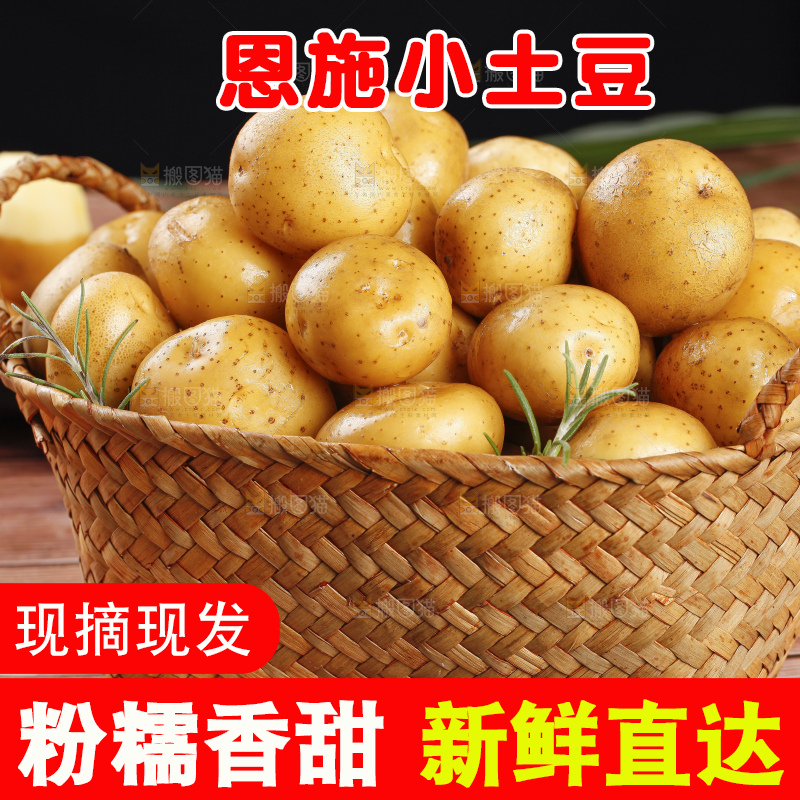 篮子里的山东黄皮小土豆