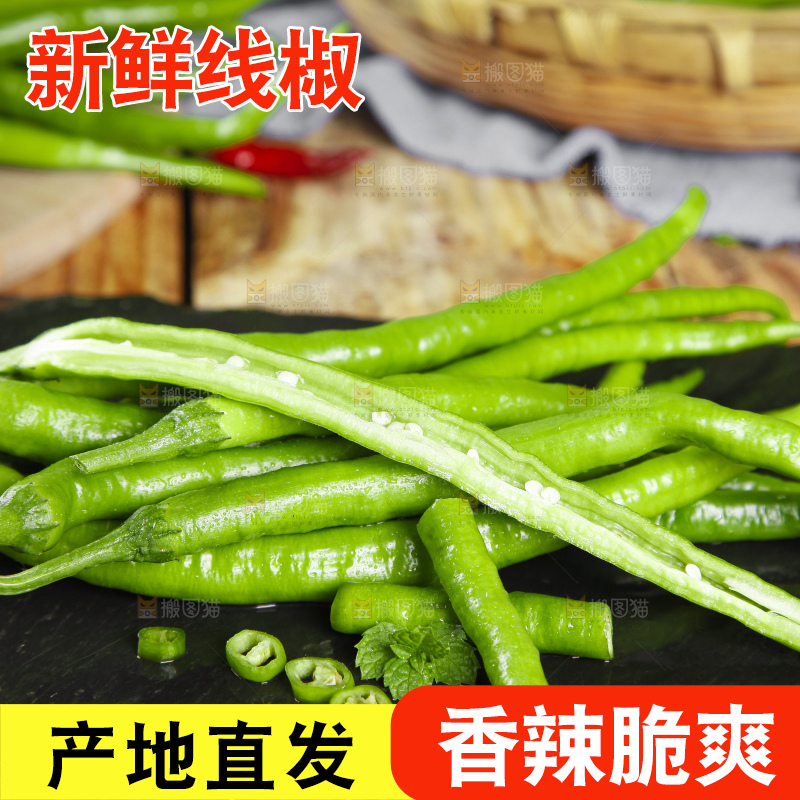 石板上放着青线椒
