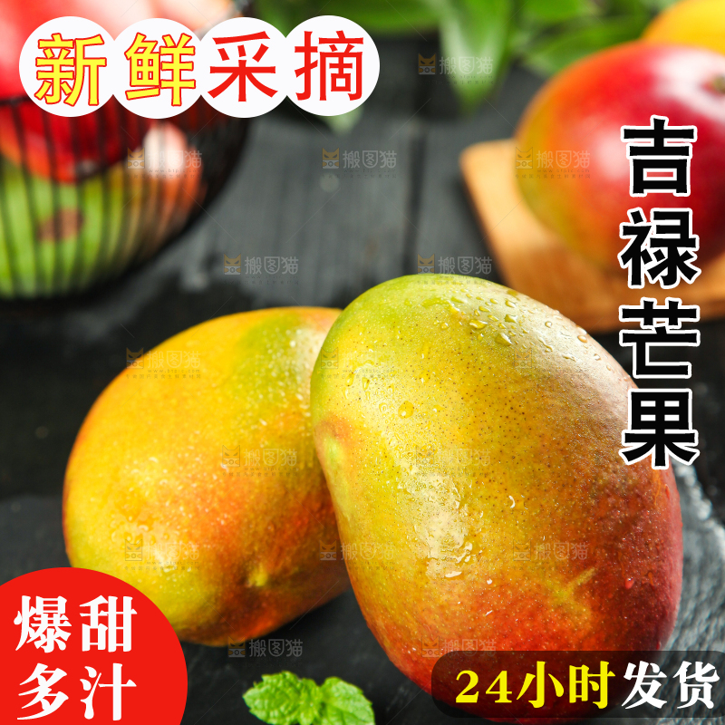 黑石板上的四川吉禄芒