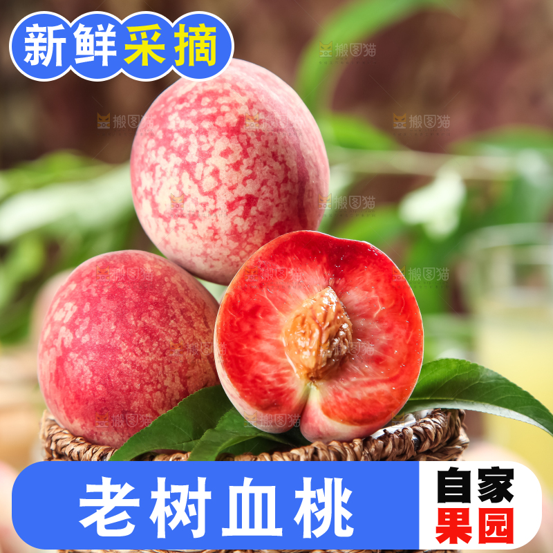 篮子里装着胭脂血桃