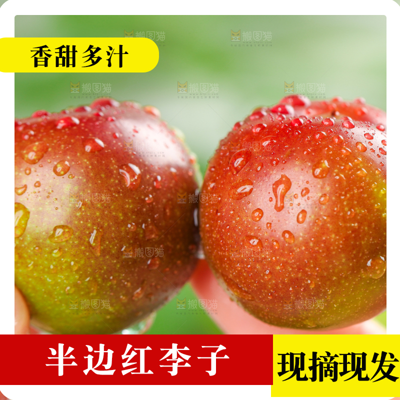 手里拿着脆红李