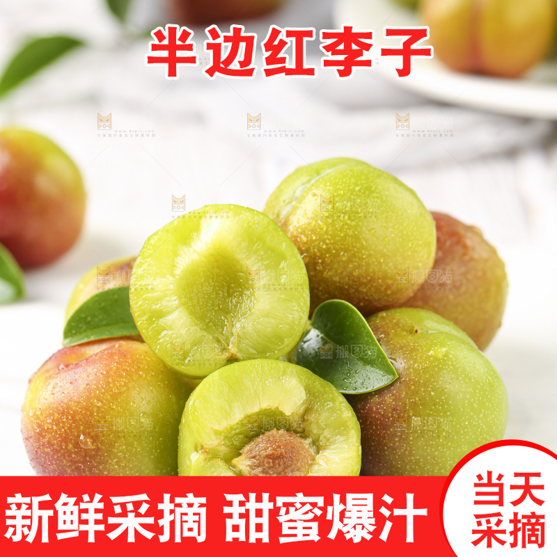 石板上摆放着四川茵红脱骨李