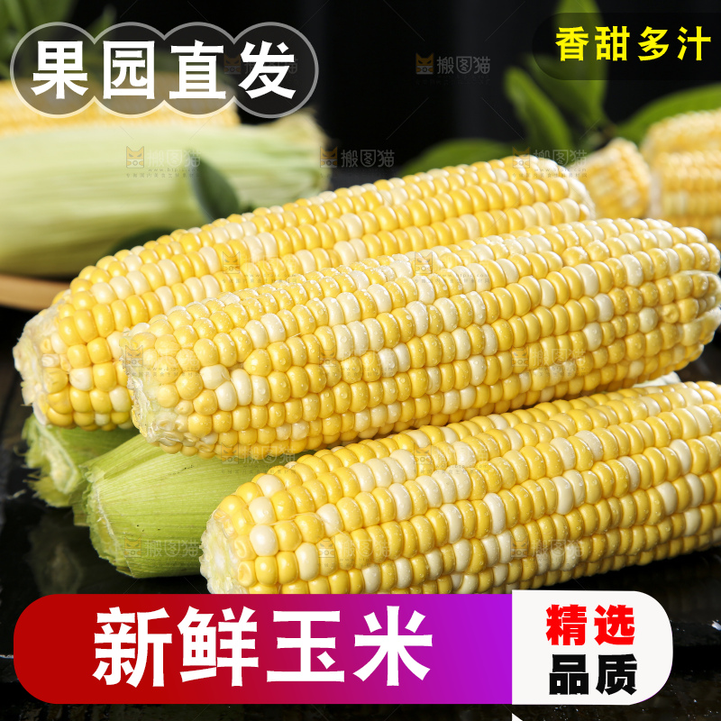 黑底上的云南水果玉米