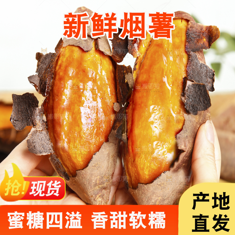深底上的烟薯