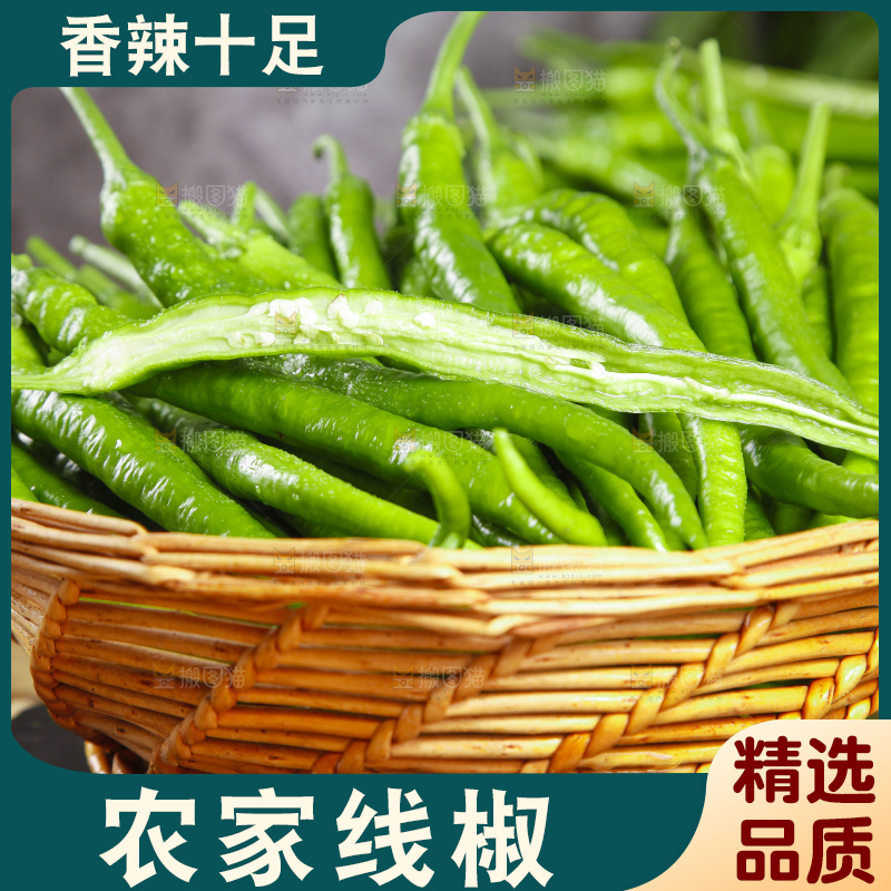 篮子里装着线椒
