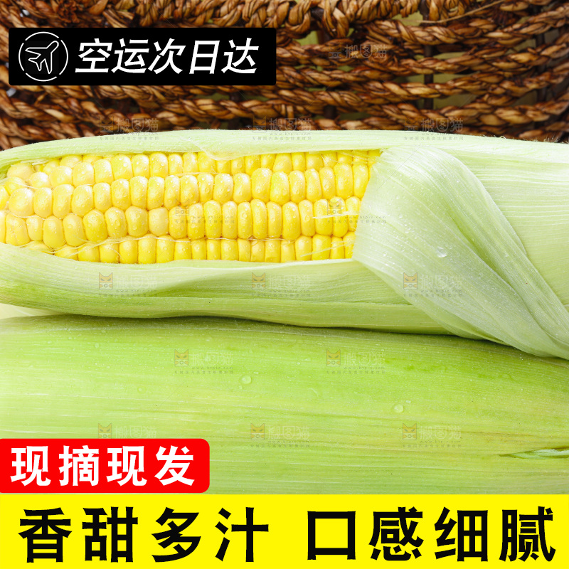 篮子子装着玉米棒