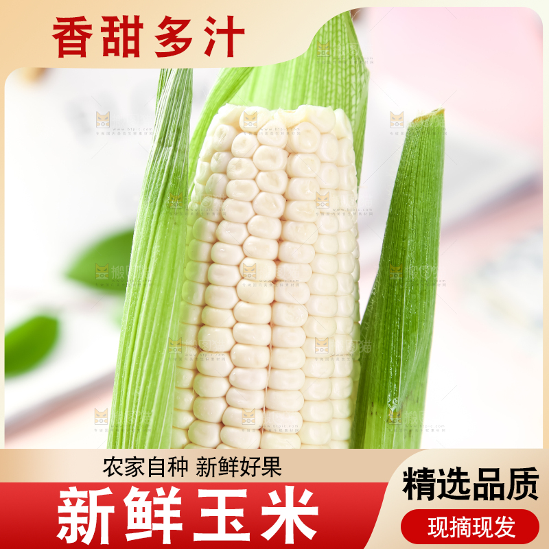 浅底上的牛奶水果玉米
