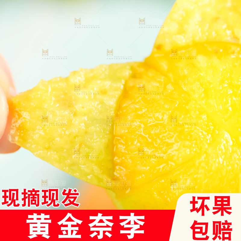 手里拿着新鲜黄金奈李