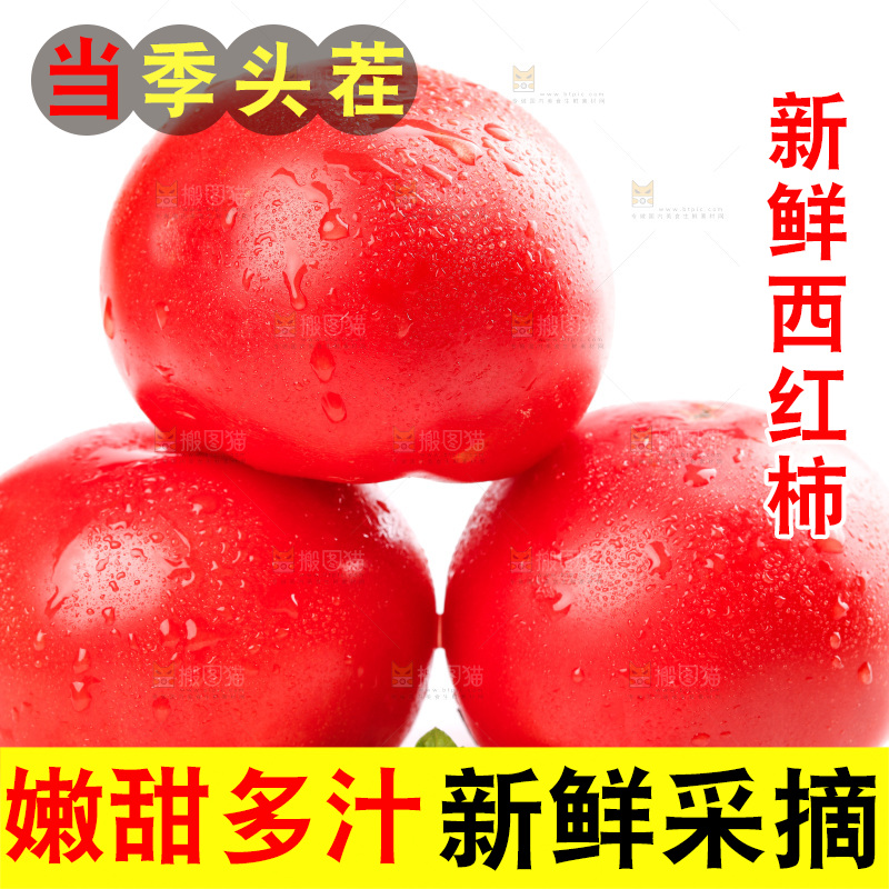 亮底上的新鲜西红柿