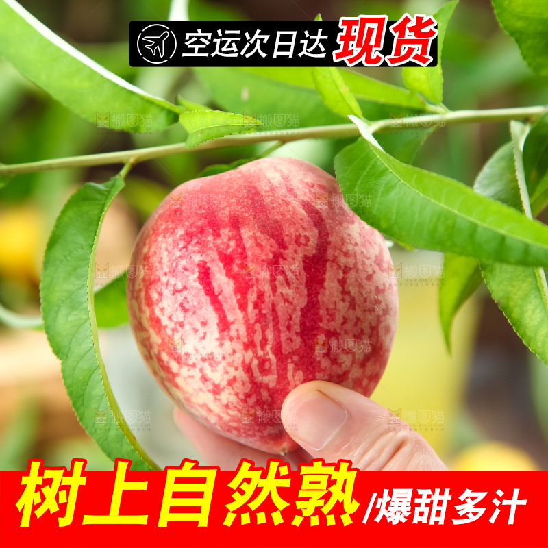 手里拿着毛桃