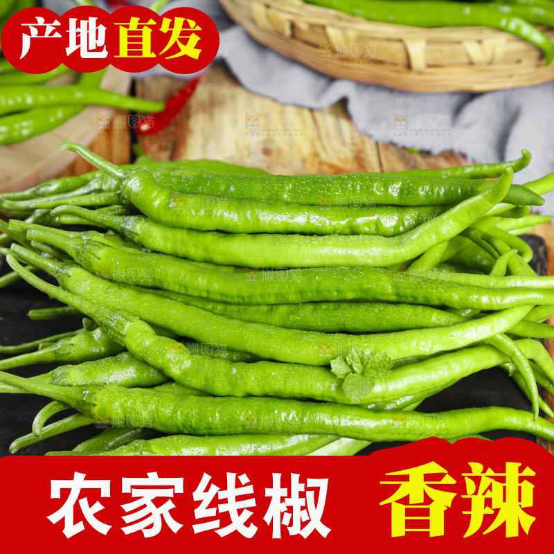 石板上放着青线椒