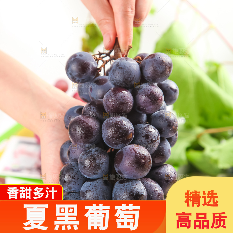 手里拿着一串紫葡萄