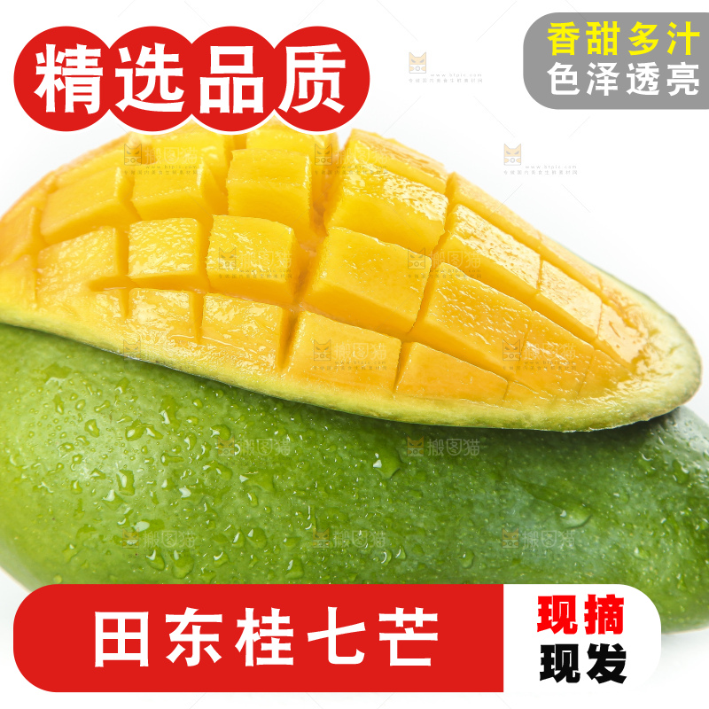白底上的桂七香芒