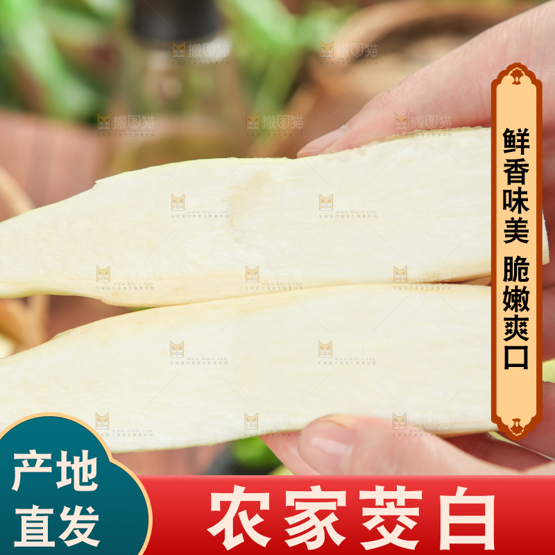 手里拿着湖北新鲜茭白