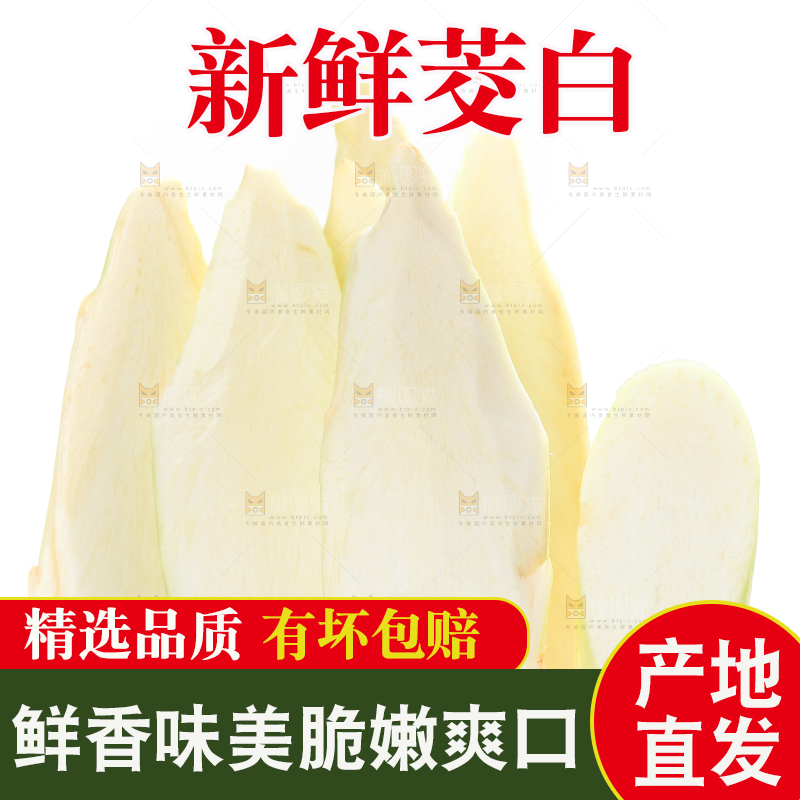 白底上的茭白