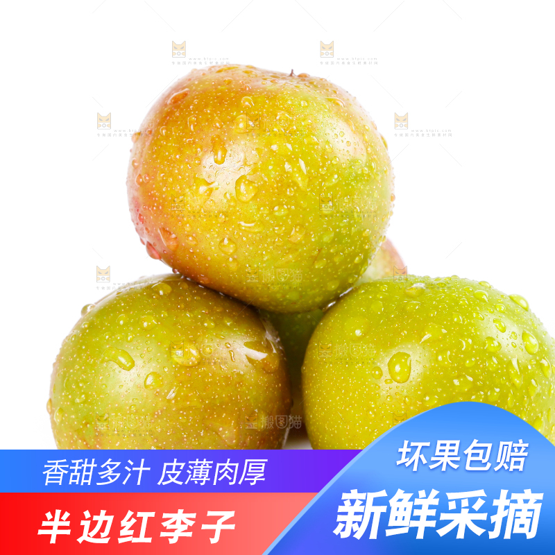 白底上的青红脆李
