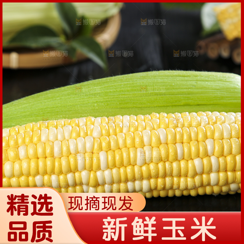 黑底上的云南水果玉米
