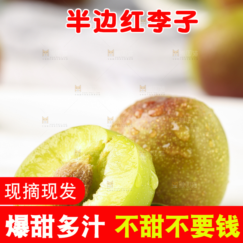 石板上摆放着四川茵红脱骨李