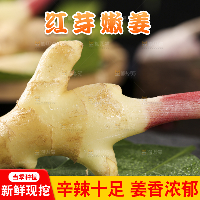 黑石板上放着红芽嫩仔姜