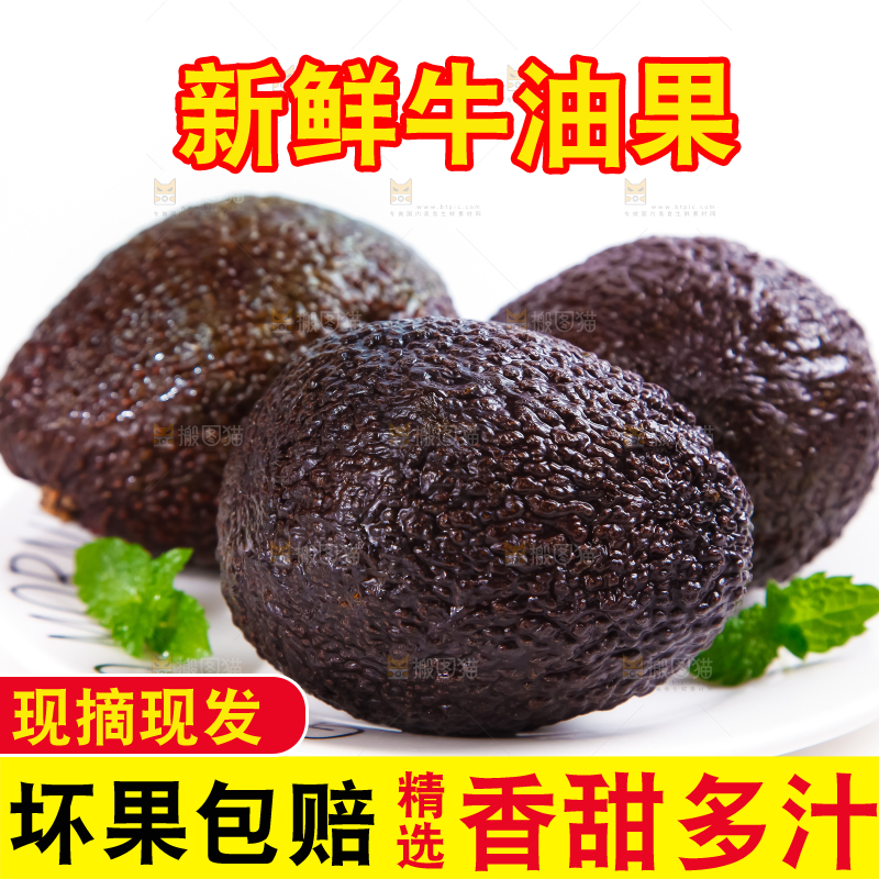 白底上的墨西哥牛油果