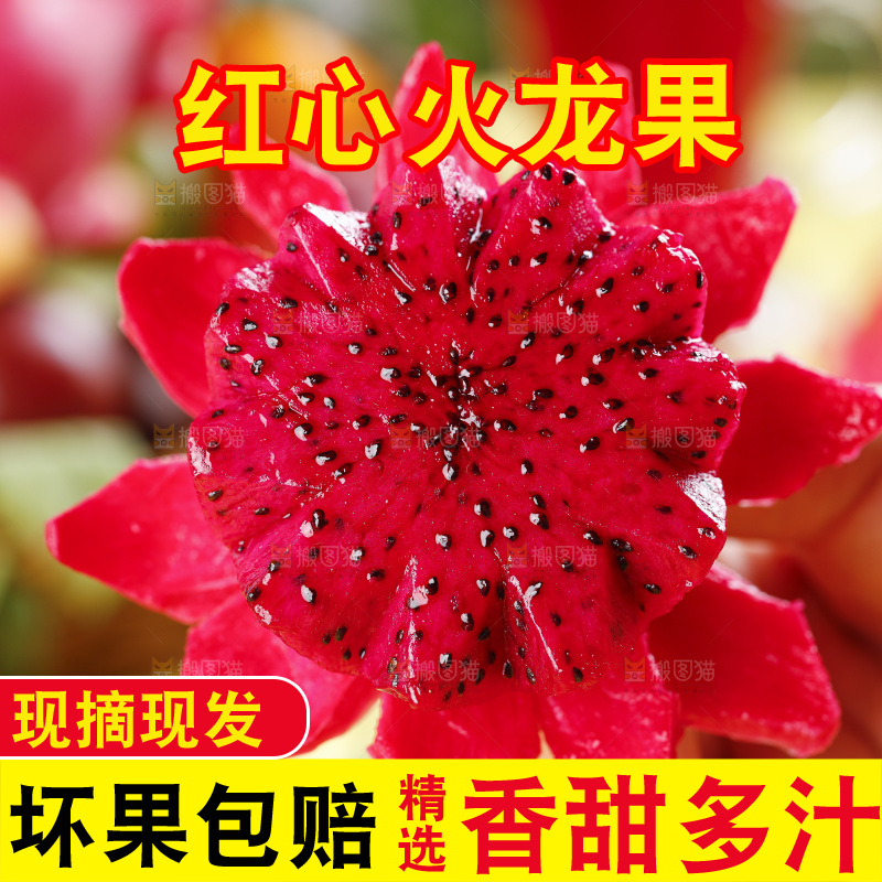 木板上的广西金都一号火龙果