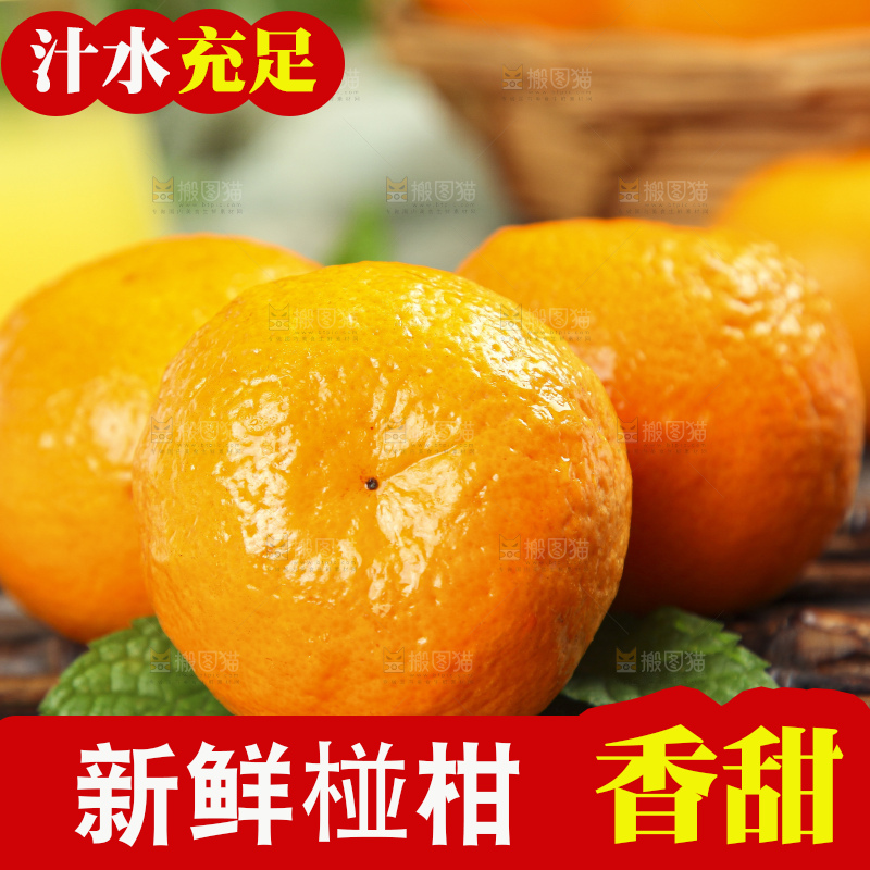 竹底上的永春芦柑
