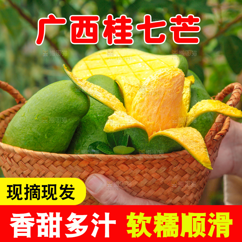 篮子里装着田东桂七芒