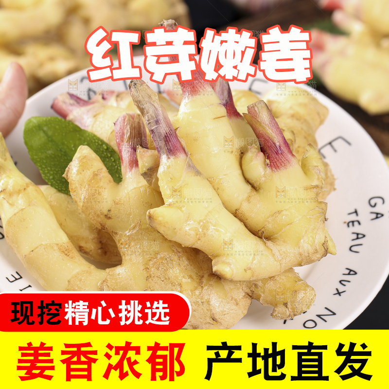 盘子里装着山东红芽生姜
