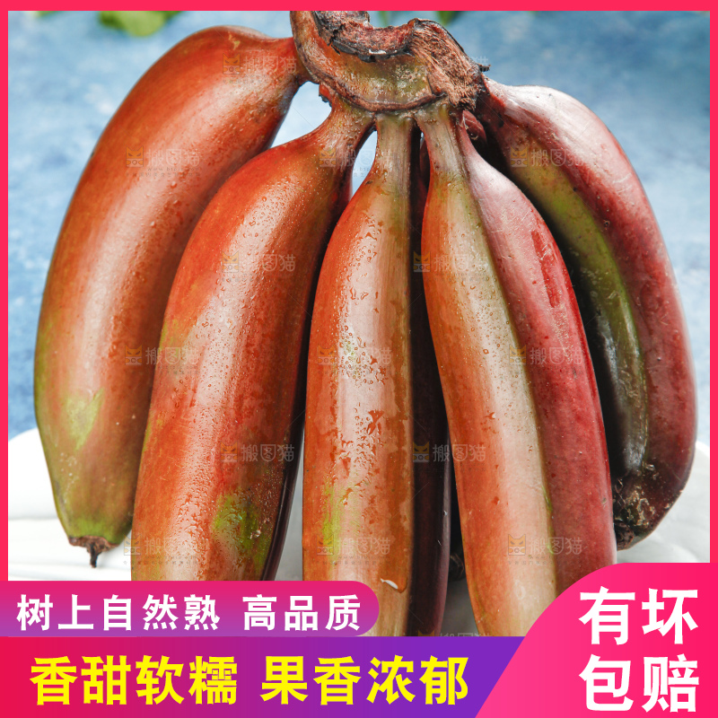 蓝底上摆放着红皮美人蕉