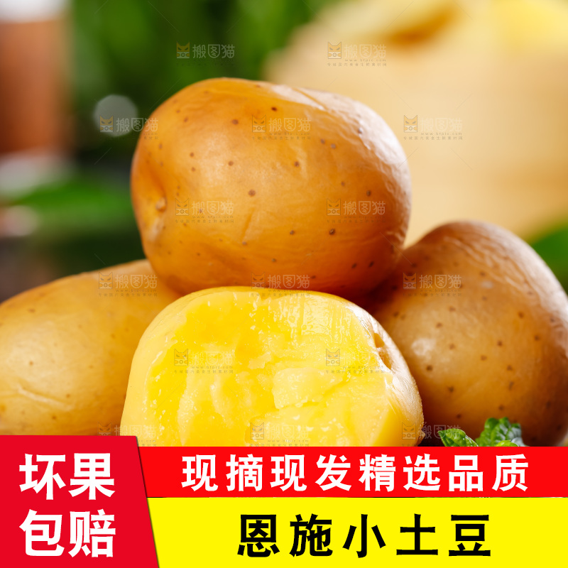 黑石板上的黄心小土豆