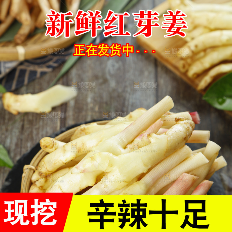 篮子里装着新鲜嫩姜