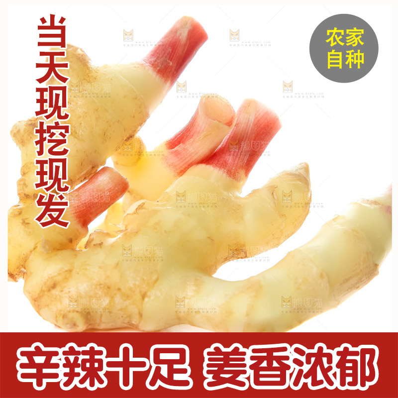 白底上的红芽嫩姜