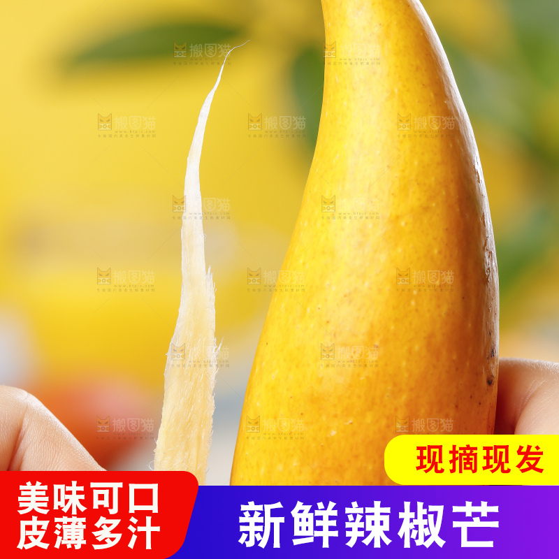 蓝底上的海南辣椒芒