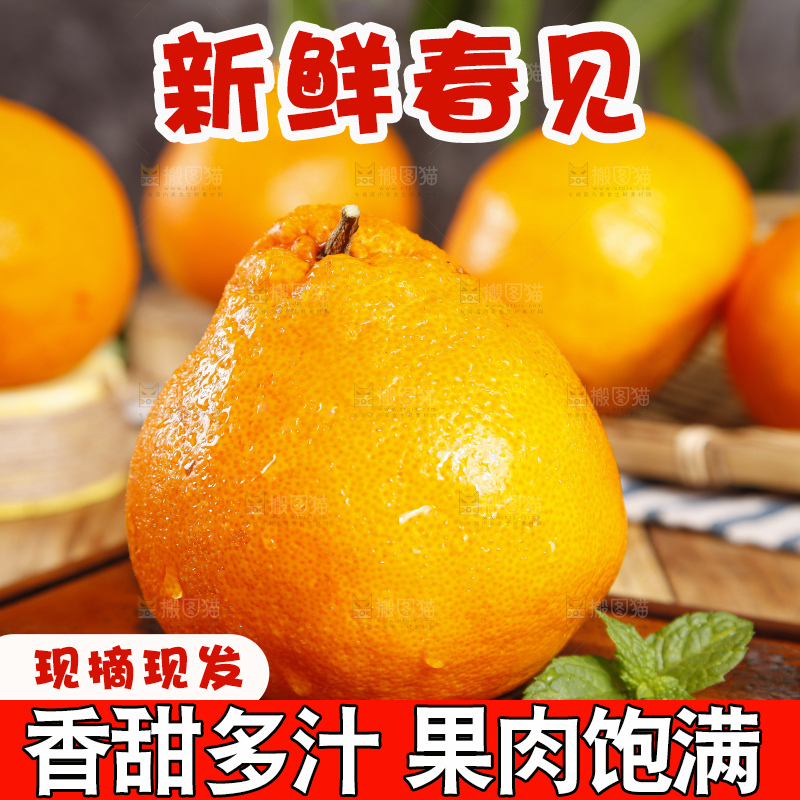 木板上的春见耙耙柑