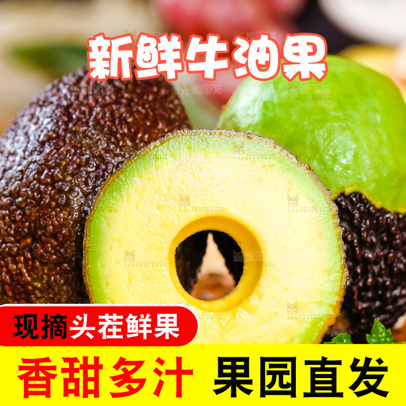 浅底上的巨无霸牛油果