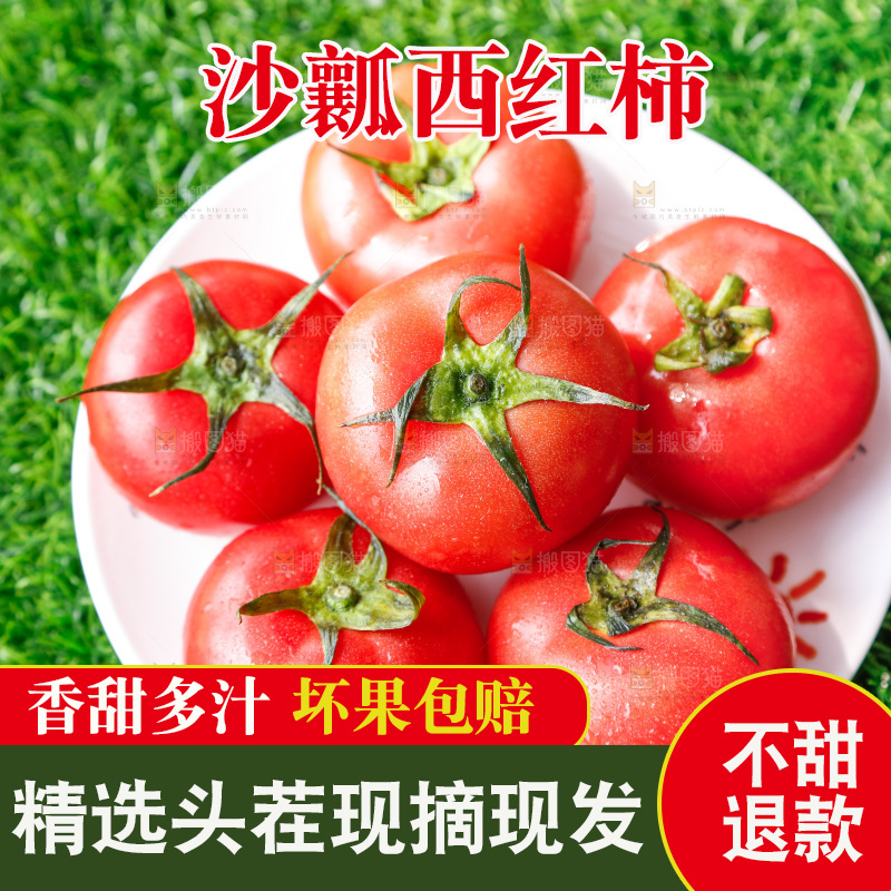 草地上的一堆新鲜西红柿